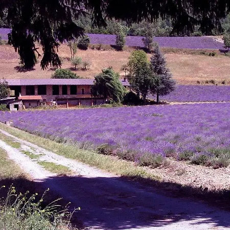 Apartamento Fauniera In Valle Stura Di - Cuneo- Demonte