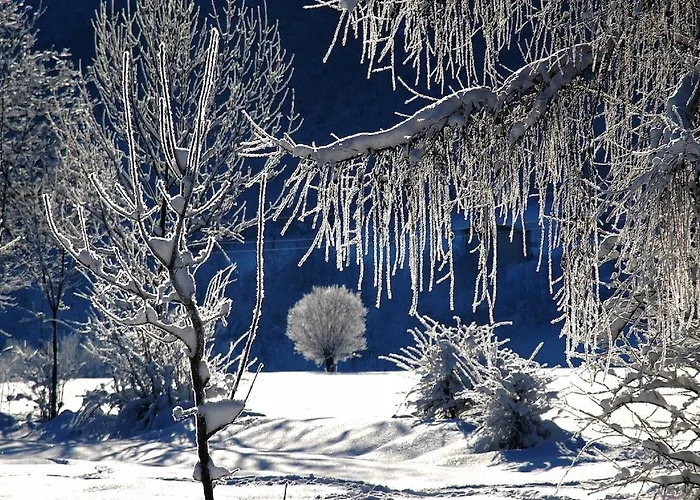 Appartamento Fauniera In Valle Stura Di - Cuneo-
