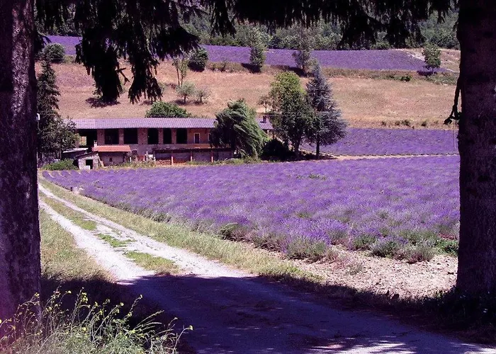 Appartamento Fauniera In Valle Stura Di - Cuneo- Demonte